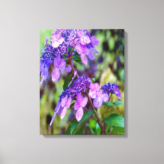Lila Twist och Shout Hydrangea Flower Canvastryck (Framsida)