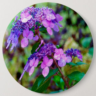 Lila Twist och Shout Hydrangea Flower Knapp
