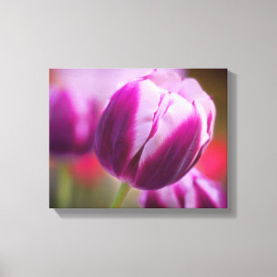 Lila Two-Tone Tulip Canvastryck