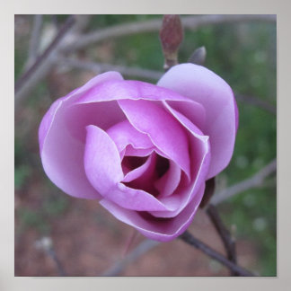 Lila - utskrift poster