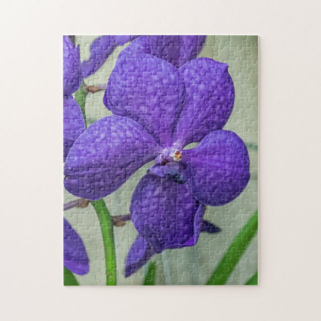 Lila vanda orchids puzzle pussel (Vertikal)