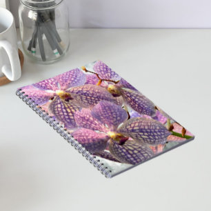 Lila Vanda Orkidéer Blommor Anteckningsbok
