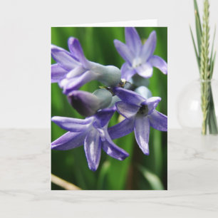 Lila Vår blommor Kort