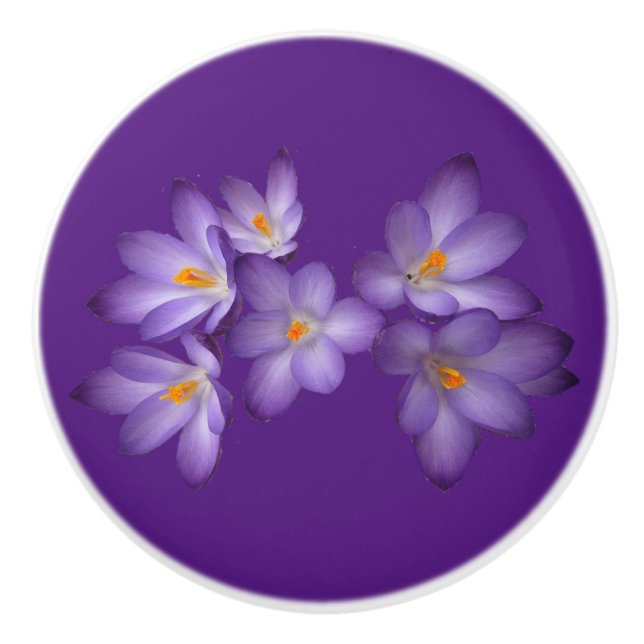 Lila Vår Crocus Flower Ceramic Knob Knopp (Framsidan)