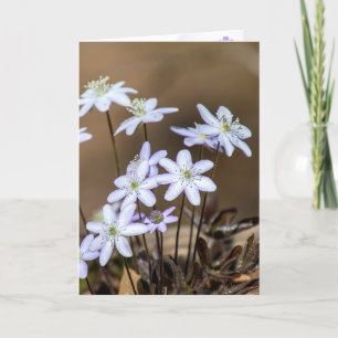 Lila Vår Wildblommor tänker på dig Kort