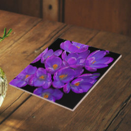 Lila vårkrokusar på svart blommönster kakelplatta