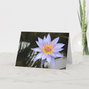 Lila Vatten Lily Greeting Card Meddelande