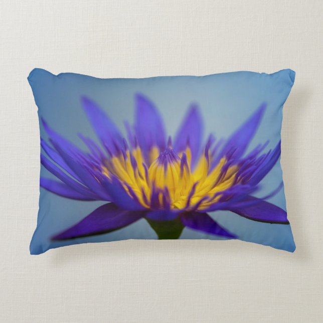 Lila Vatten Lily Prydnadskudde (Framsidan)