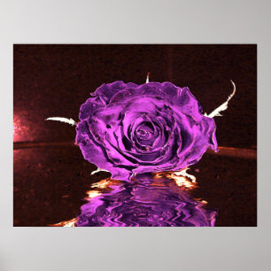 Lila velvet Ro Poster