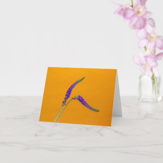 Lila Veronicas Greeting Card Kort (Orkide)