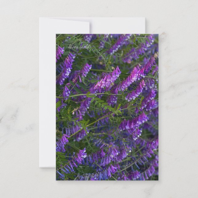 Lila Vetch Flowers Anteckningskort (Framsida)
