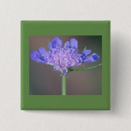 Lila vild-blomma knapp