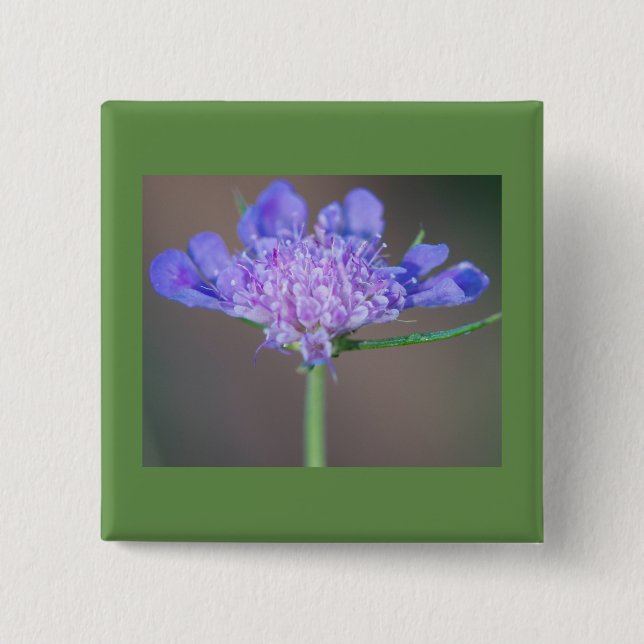 Lila vild-blomma knapp (Framsida)