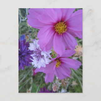 lila vilda blommor vykort