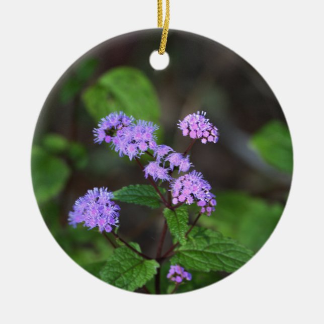 Lila vildblommor ornament (Framsidan)