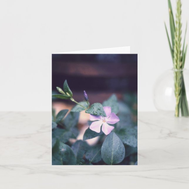 Lila Vinca Flower Notecard Kort (Framsida)