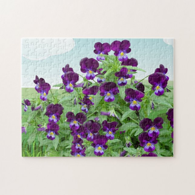 Lila Viola-blomma  Pussel (Horisontell)