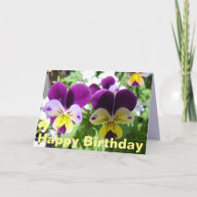 Lila Viola Pensé Vacker Blomma Blommig Kort