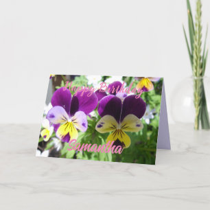 Lila Viola Pensé Vacker Blomma Blommig Kort