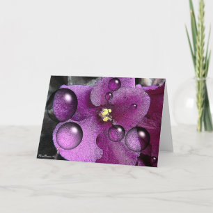 Lila Violet Blank Greeting Card Kort