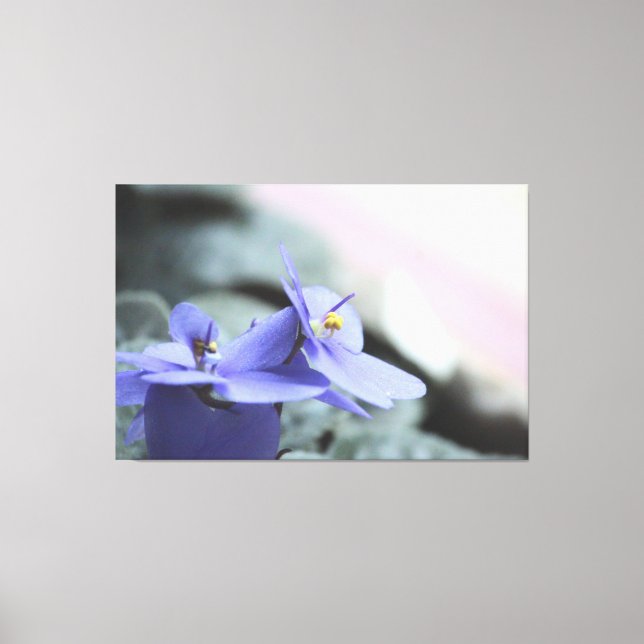 Lila Violet Blommigt Canvas (Framsida)