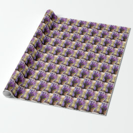 Lila Violet Plant i Window Presentpapper