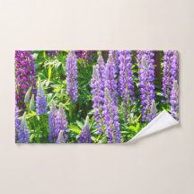 Lila violett rosa pink Lupinen Blumen polyphyllus