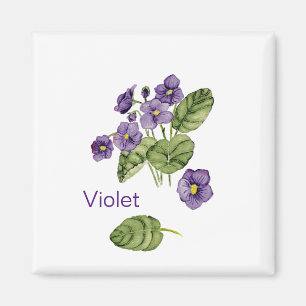 Lila violetta, vattenfärg Magnet