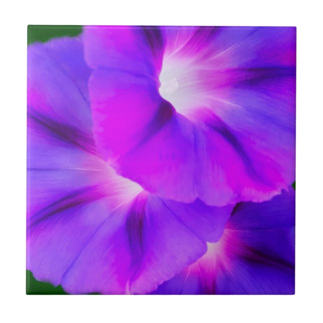 Lila Vit Blommig  Kakelplatta (Framsidan)