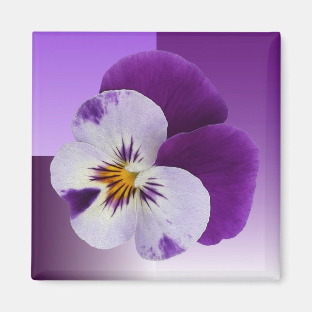 Lila, vit bockning magnet (Framsidan)