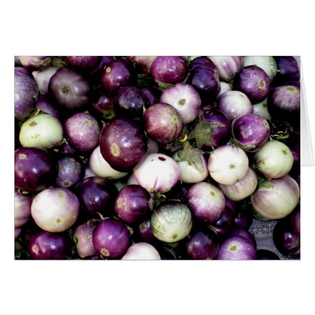 Lila- & vitasiataubergine OBS kort (Framsidan Horizontal)