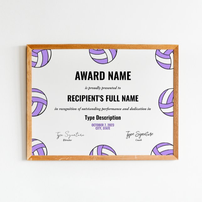 Lila Volleyball, pris för bästa spelarerkännande Poster (Skapare uppladdad)
