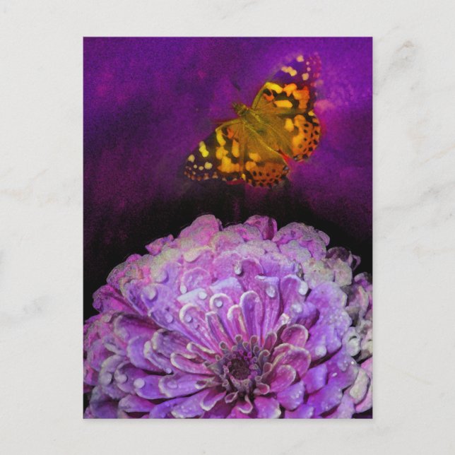 Lila Vykort (Framsida)