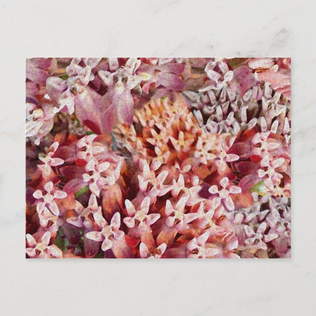 Lila Vykort (Framsida)