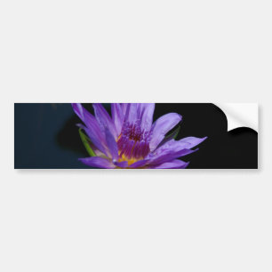 Lila Waterlily Lotus Bildekal