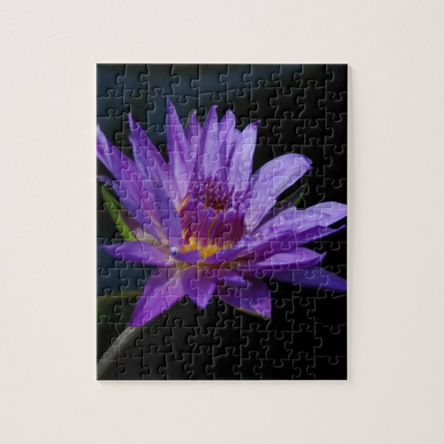 Lila Waterlily Lotus Pussel (Vertikal)