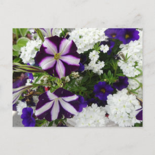 Lila White Blåa blommor DIY vykort