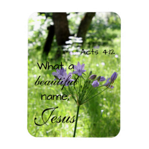 Lila Wildblombible Verse Magnet