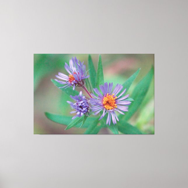 Lila Wildblomma Canvas Art (Framsida)