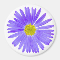 Lila Wildblomma