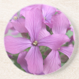 Lila Wildblommes Underlägg Sandsten
