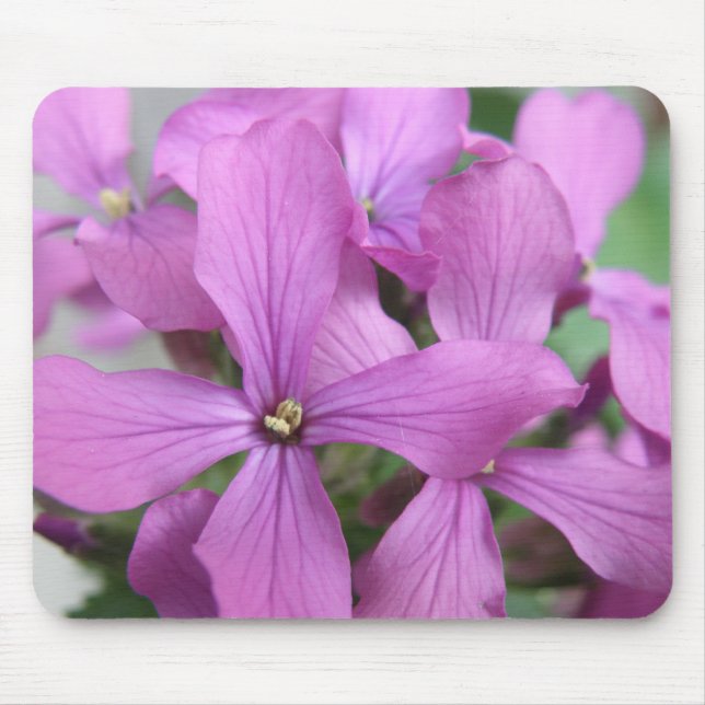 Lila WildblommMousepad Musmatta (Framsidan)