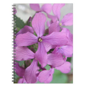 Lila Wildblommor - bärbar dator Anteckningsbok