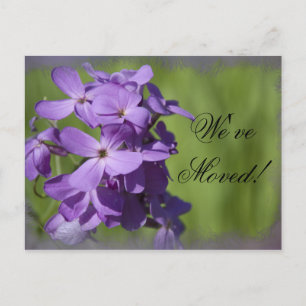 Lila Wildblommor Byte av Adress Meddelande Vykort