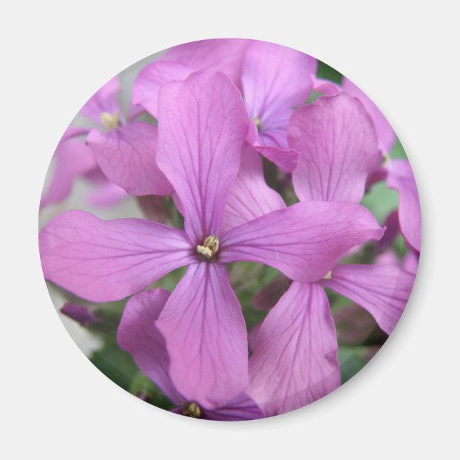 Lila Wildblommor Magnet (Framsidan)