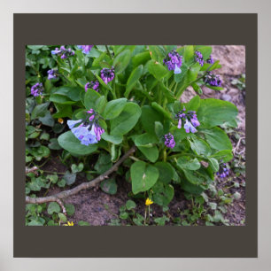 Lila Wildblommor Poster
