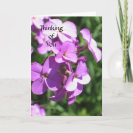 Lila Wildblommor tänker på dig Kort