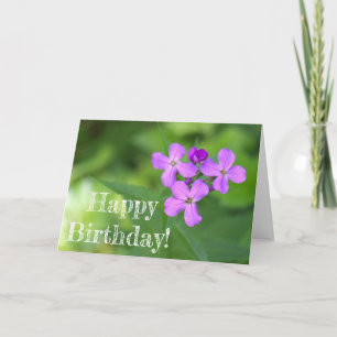 Lila Wildblomskort Kort