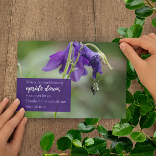 Lila Wildblomsteilärarexamen, utvärderingsplatta Tack Kort