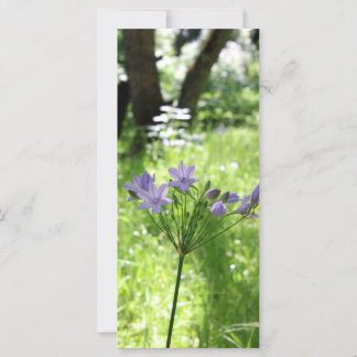 Lila Wildblomsterkort